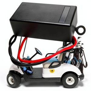 QINLANAP Engine Rev Limiter for Golf Carts-0