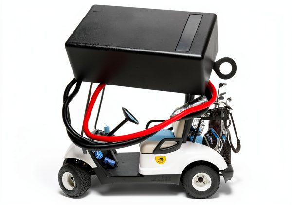 QINLANAP Engine Rev Limiter for Golf Carts-0