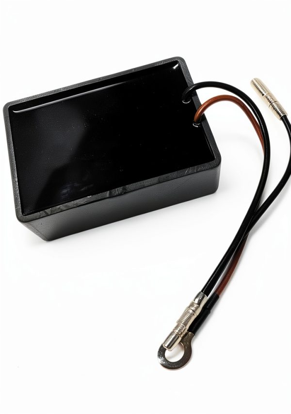 Xspeedonline Engine Rev Limiter for Golf Carts-2