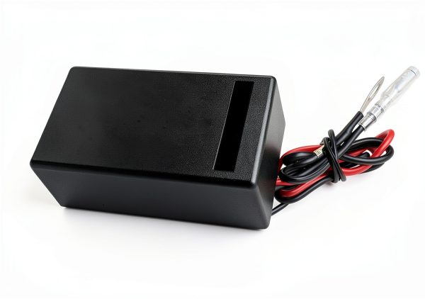 QINLANAP Engine Rev Limiter for Golf Carts-1